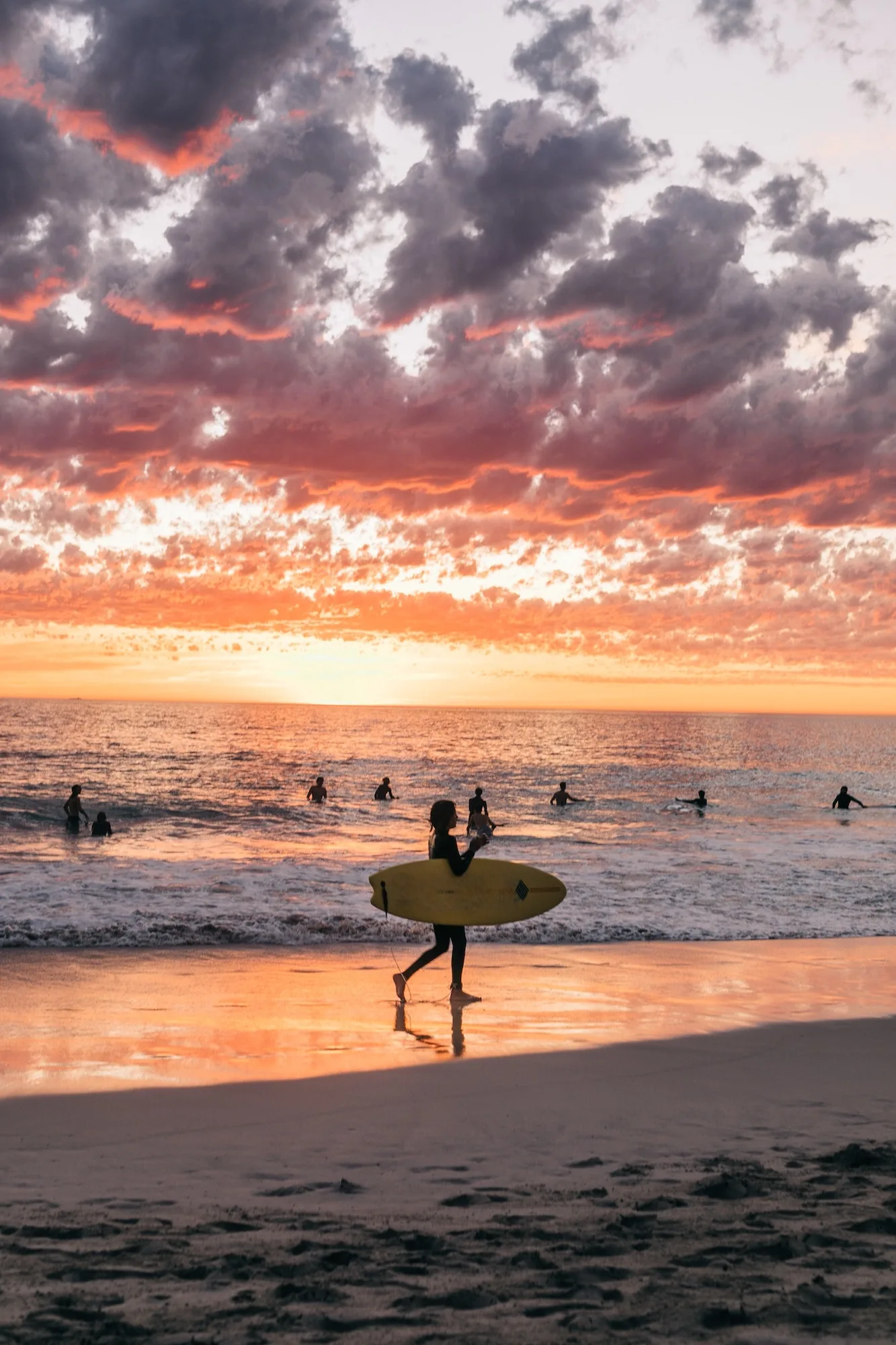 surfing vacation sunset